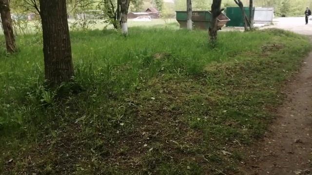 13-05-2025   пошла. мусор и лалала