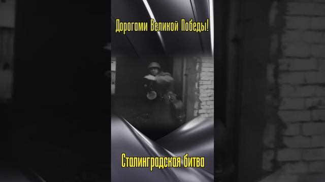 5. Сталинград
