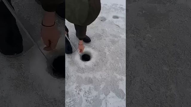 В долгую жизнь Пора начинать ловить 🔥🔥🔥