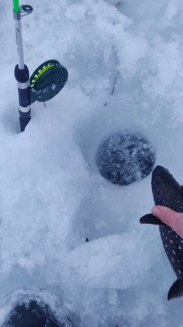Зимняя рыбалка на Камчатке село Мильково река Камчатк