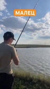 КАРПИК #shortsvideo #shorts #shortsvideo #рыбалка #fishing #carp #карп #удочк