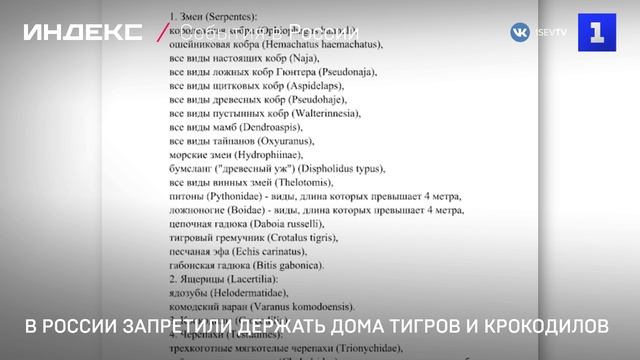 В России запретили держать дома тигров и крокодилов