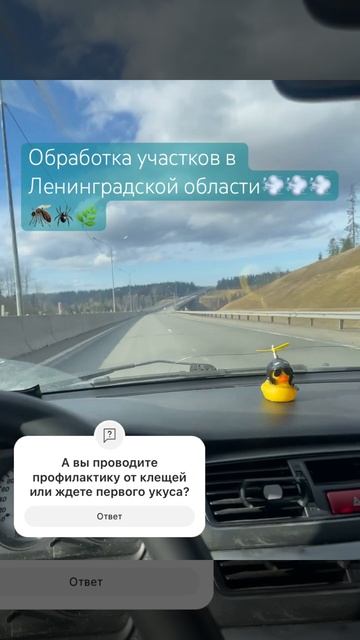 Обработка участка от клещей и борщевика в начале сезо?