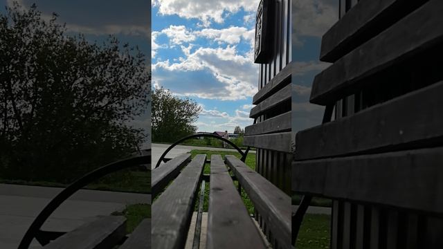 Борьба с одуванчиками