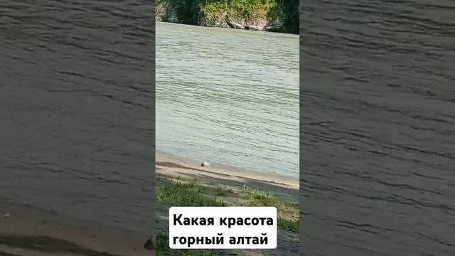 Какая красота# горный алтай