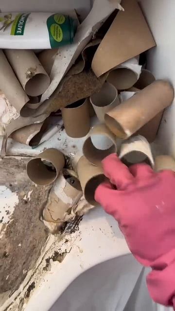Превратить СУПЕР-ГРЯЗНУЮ раковину в идеально чистую за 60 секунд?