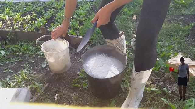 Наша дача. Почему удобрения плохо усваиваются растени