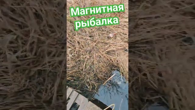 поиск сокровища/// Магнитная рыбалка #2024 #подпишись #хо?