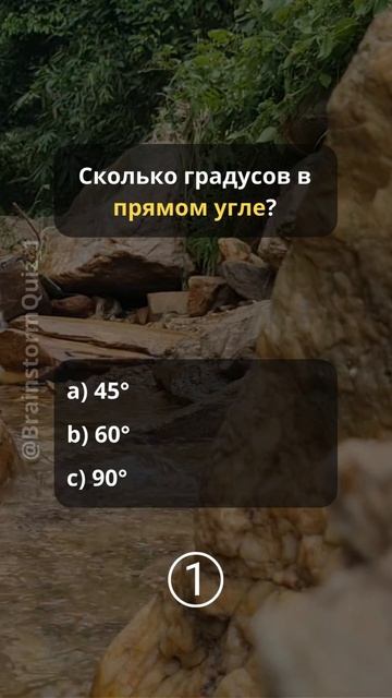 Тест по математике: Проверь свои вычислительные навык