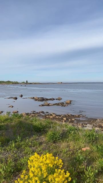 Ночуем на Белом Море. #caravanexpedition #путешествие #yamaltripcola #c