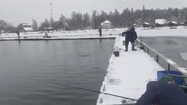 РК Три Пескаря! Video 2024 11 30 at 09 49 59