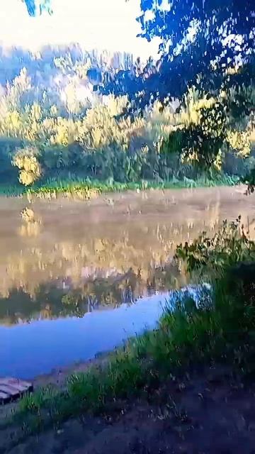 #shortvideo #удар #shots #авто #reels #рыбалка #funny #trending #