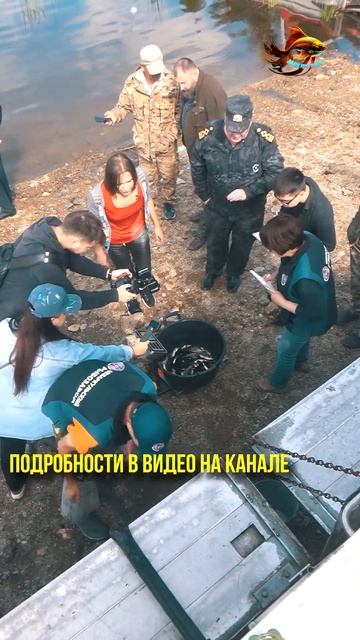 Всеми силами зарыбляем озеро Большой Кременкуль Рыба?