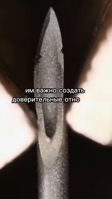 Самая честная девушка по знаку зодиака