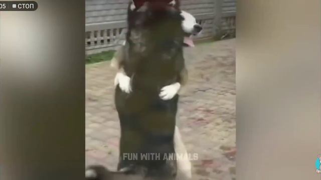 А прикольненько было