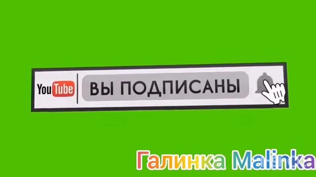 Лиса в Америке /Муж запретил общаться с Funny 4 /Обзор /Жиз