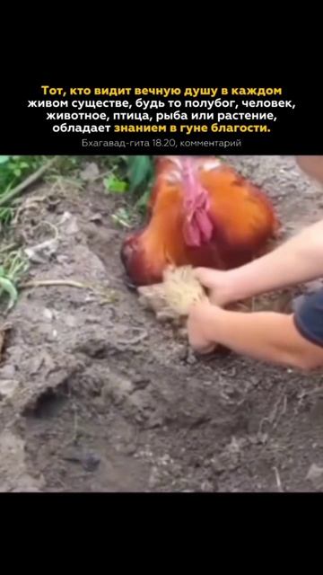 Про любовь...