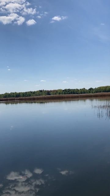 Разливы. Торфяные озера #fishing #рыбалка
