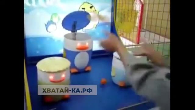 Пингвины