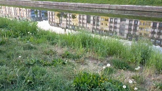 Реальная рыбалка в черте города  Матисов канал