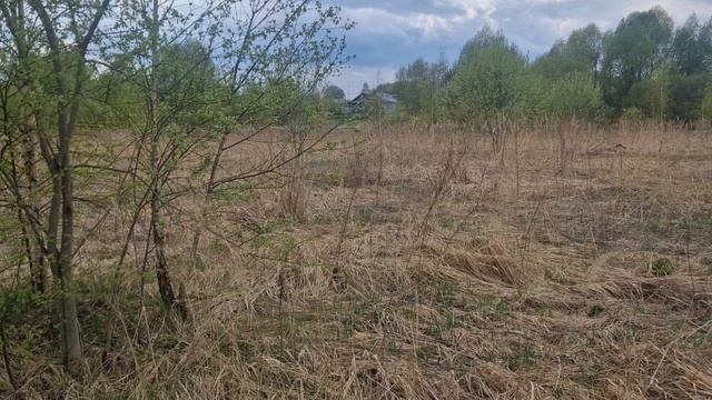 З/у с к. н. 50:28:0120120:502, расположенный по адресу: МО, г. о. Домодедово, д. Коченягино