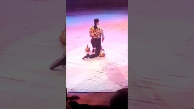 Цирк Никулина 2019г