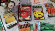 Какие сорта семян сажать в огороде часть (10)