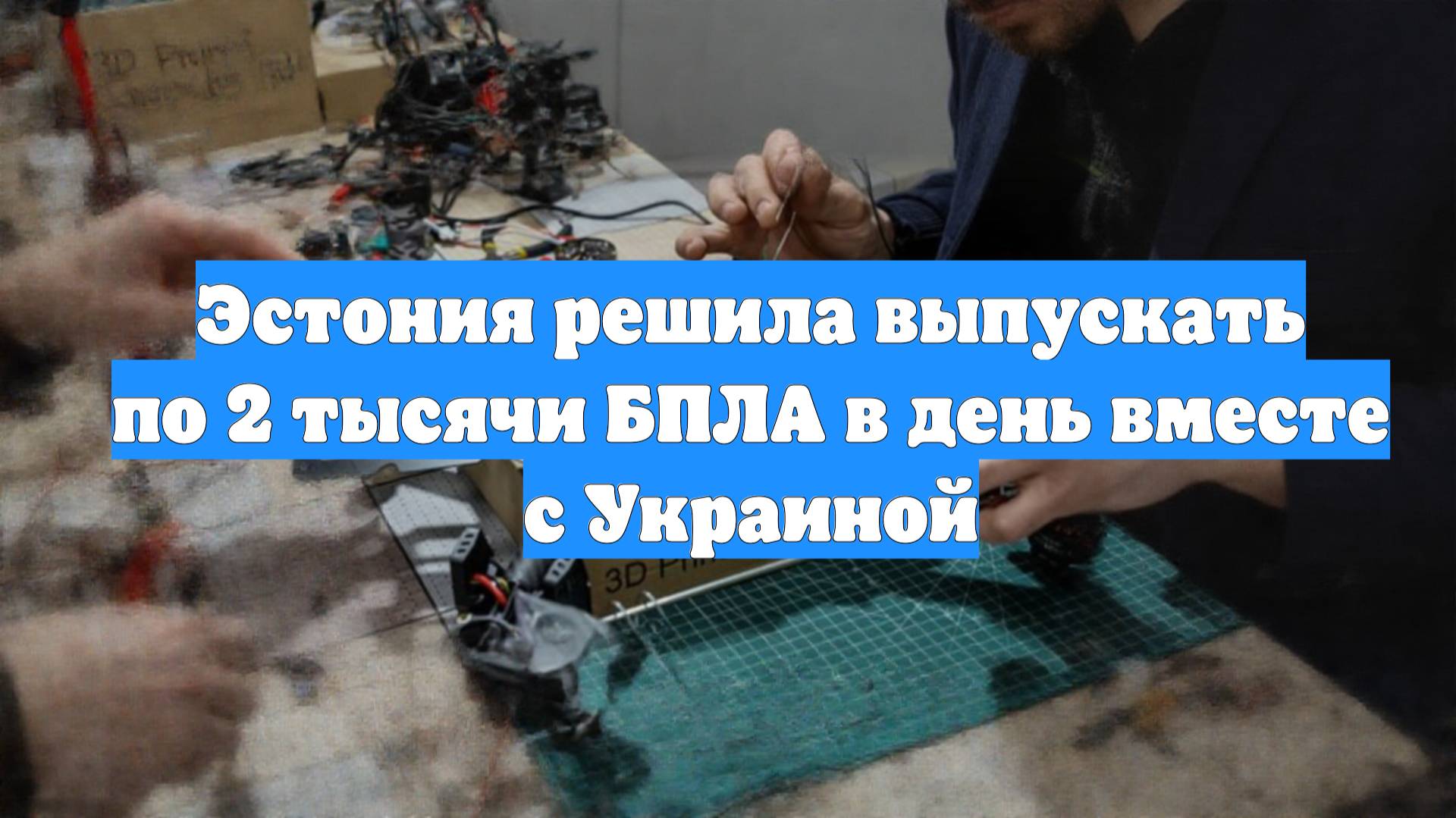 Эстония решила выпускать по 2 тысячи БПЛА в день вместе с Украиной