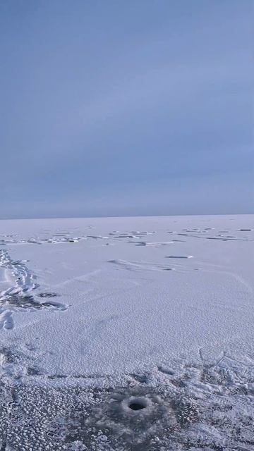 КВХ ЗАМЁРЗЛО 08.12. 2024  #рыбалка