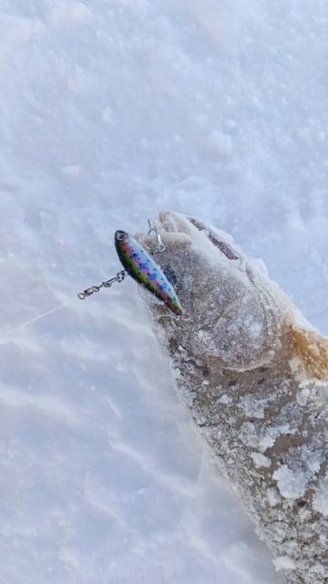 Раттлин 60 мм 14,5 гр № 99 от Mr.Musurok в деле 🎣