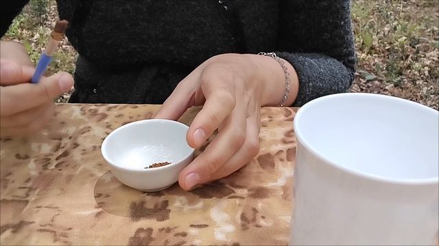 Кофейная краска