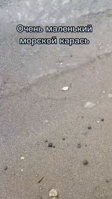 Малыш:) #рыбалка #море #вода #зима #морезимой #груз #забр?