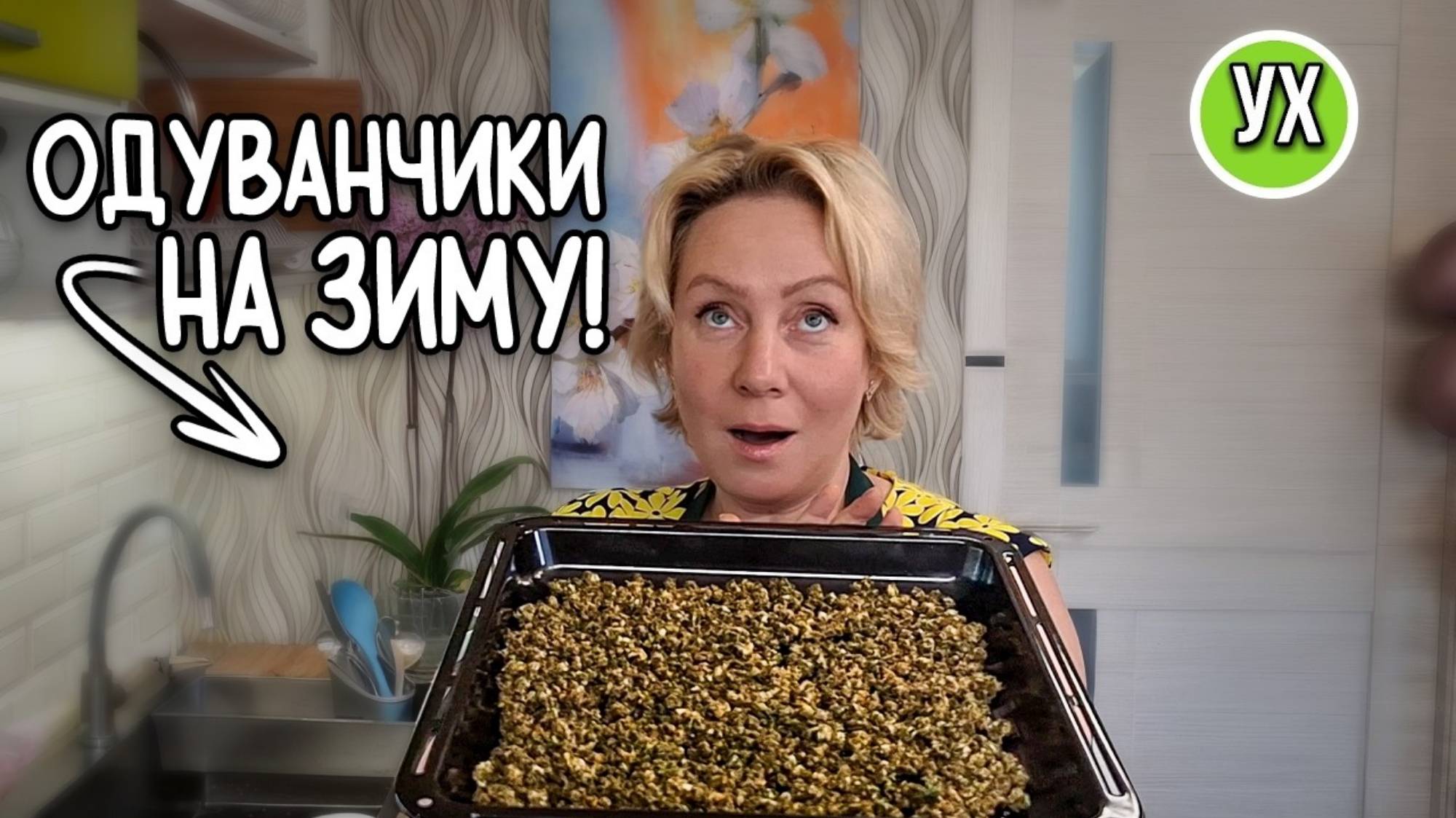 Ух ты кухня.  Одуванчики на зиму! Заготавливаю чай.