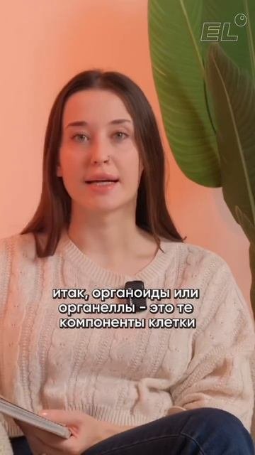 Что такое ядро?🤔Залетай в тренажер по всей биологии н