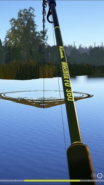 #russianfishing4 #stream #fishing #shorts Оз.Медвежье Трофей Линь