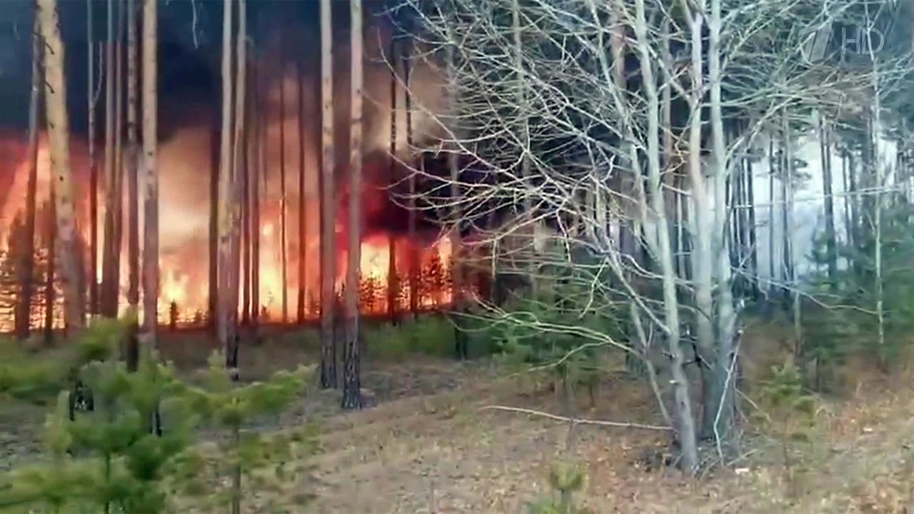 В Амурской области пламя природных пожаров вплотную подошло к городу Циолковский