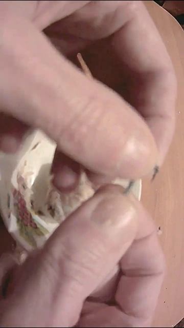 ЭТА НАСАДКА для РЫБАЛКИ  на леща,карася,карпа ОБЕСПЕЧИ
