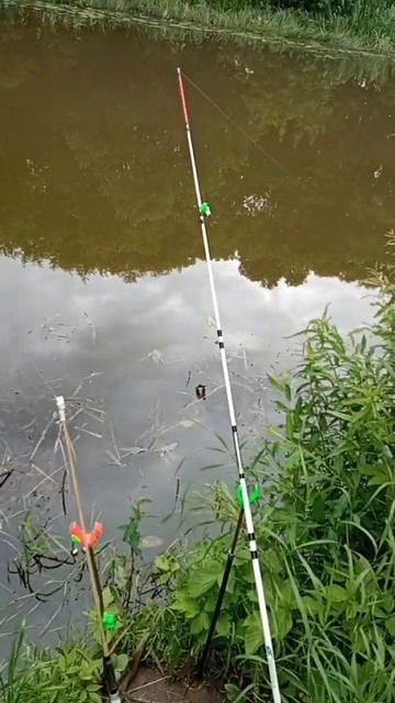 Рыбалка на донки. #рыбалка #нхнч #fishing #плетенка #рыба #к?