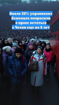 Около 25% украинских беженцев попросили о праве остаться в Чехии еще на 5 лет