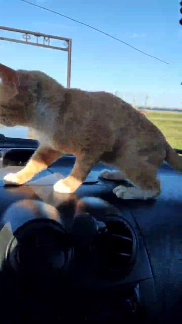 VID_20250513_113122_276.mp4