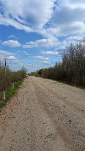 Весна в Центральной России #путешествия # весна