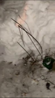 Паша техник ненаход
