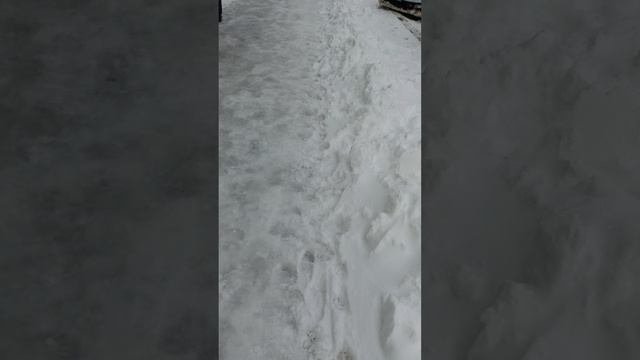 29 апреля 2025 г., 9:09:57
ул. Полины Осипенко
VID_20250429_090845243