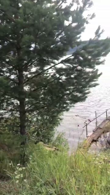 Результаты рыбалки на фидер в последнем видео☺️🎣 #fis