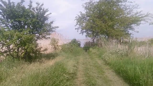 VID_20250511_154105