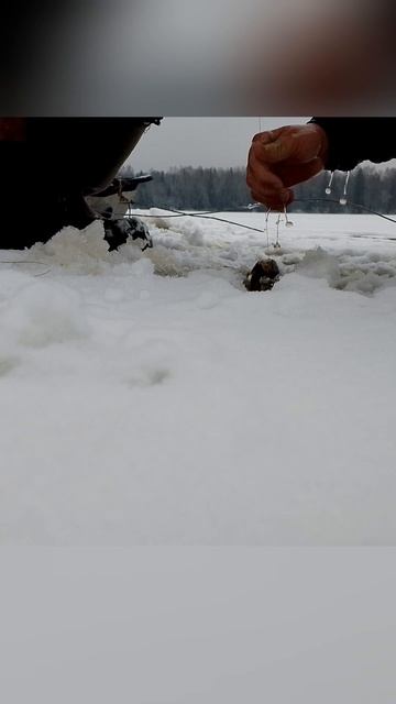 ЗРЯ ТОЛЬКО РУКУ МОЧИЛ!!! #fishing #рыбалканаозере #рыбалка #