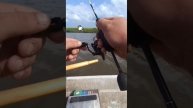 МОНСТР на Мормышинг Рвет плетёнку #fishing #мормышинг #рыб