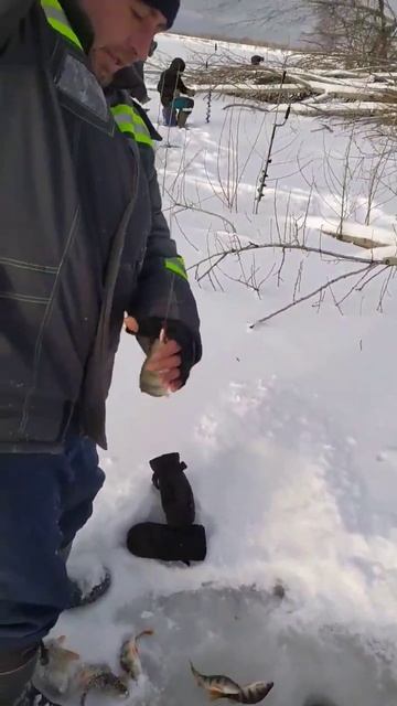 Обь Молчаново. #рыбалка