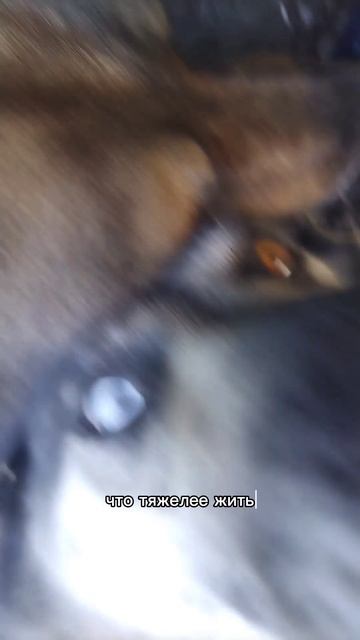тяжелее жить