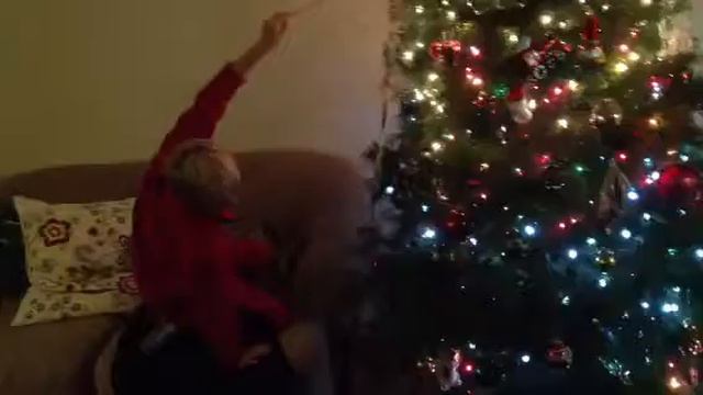 Мишка и Тоха